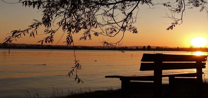 AI, grief, afterlife, life, sunset, recap, reflecting