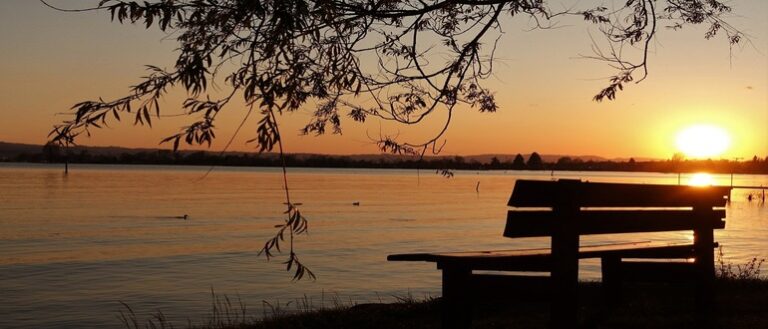 AI, grief, afterlife, life, sunset, recap, reflecting